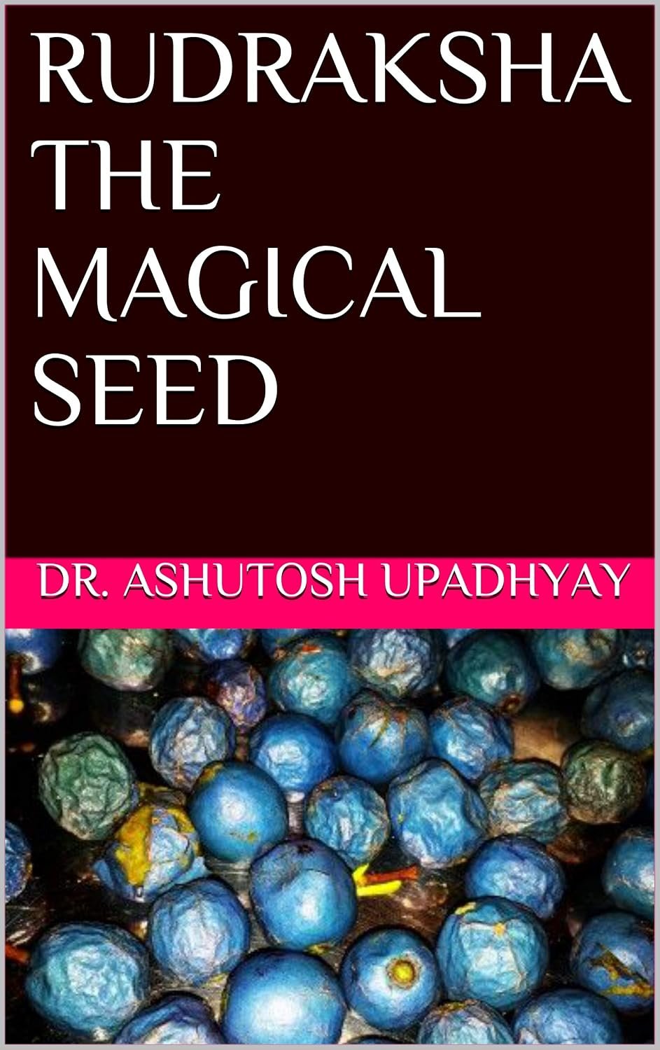 Front cover of Rudraksha: The Magical Seed